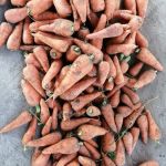 Морковь оптом отличного качества
