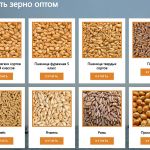 ООО Агропром - оптовая реализация продуктов питания экспорт