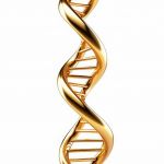 Биорезонансное тестирование