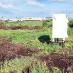 Участок 5.96 сотки Покровская Гатчина — 1 800 000 руб. — газ и свет по границе