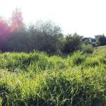 Участок 5.96 сотки Покровская Гатчина — 1 800 000 руб. — газ и свет по границе