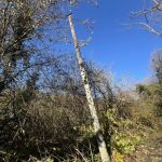 Земельный участок Сочи