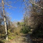 Земельный участок Сочи